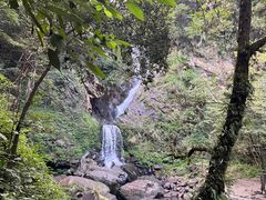 -石台牯牛降景区