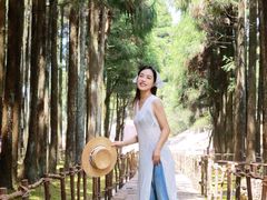 -玉苍山国家森林公园