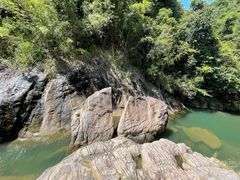 -广州白江湖森林公园