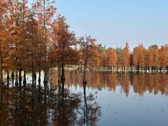 -白鹭湾湿地公园