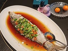 椒麻蒸太湖白鲷-润苑·悦椿轩(徐汇万科中心一期店)