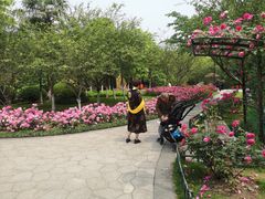 -大关公园