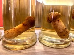 -鲜菌江湖正宗野生菌火锅