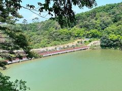 -黄埔油麻山森林公园