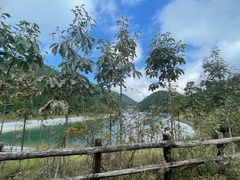 -武陵山森林公园