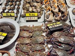 -渔娘渔家丹东海鲜(东直门店)