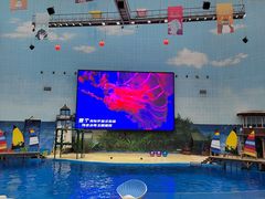 -海合安天津极地海洋公园