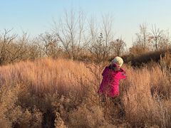 -永定河休闲森林公园