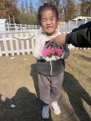 -前小桔亲子创意农场·草莓采摘·露营烧烤