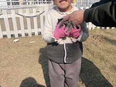 -前小桔亲子创意农场·草莓采摘·露营烧烤