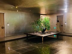 -隐溪茶馆(静安寺店)