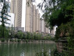 -成都市活水公园