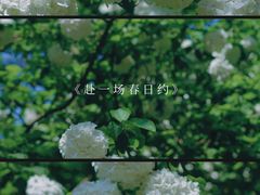-中山公园