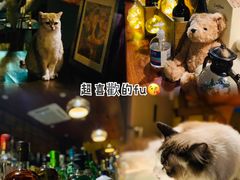 -咖法森林·咖啡  酒吧(天河店)