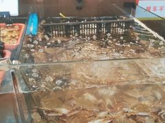 -亚马逊环球美食百汇(新城吾悦广场店)