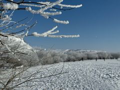 -塞罕坝国家级自然保护区