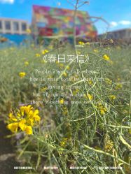 -小蜜蜂农场(凯德七宝购物广场店)