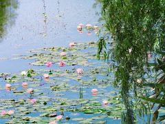 -白鹭湾湿地公园