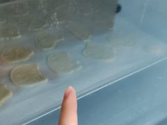 -米柚烘焙教室(新天地购物中心店)