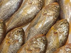 -龙宴海鲜城(经中路店)