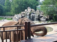 -北京野生动物园