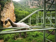 -大连冰峪旅游度假区