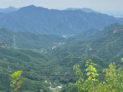 -大岭沟猕猴桃谷风景区