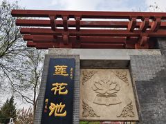 -莲花池公园