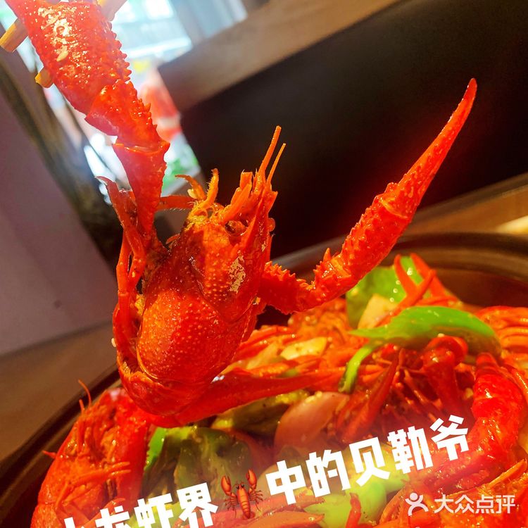 此乃小龙虾🦞界的贝勒爷！盘他盘他！