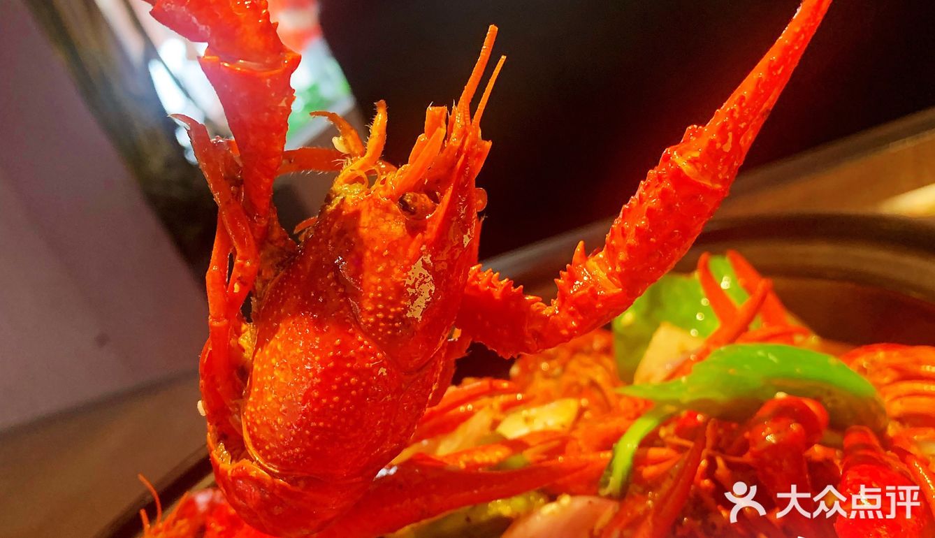 此乃小龙虾🦞界的贝勒爷!盘他盘他!