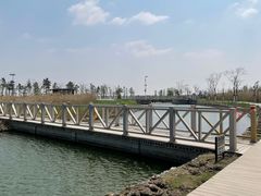 -鹦鹉洲湿地公园