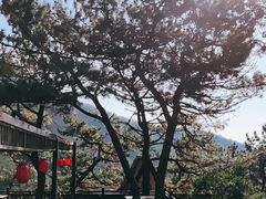 -青岛崂山太清宫