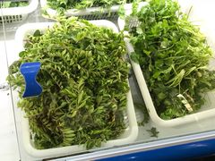 -黔府豆米火锅野菜馆(南马店)