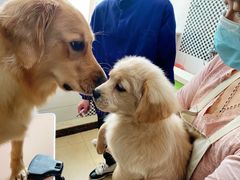 -派特宠物医院(圆融广场店)