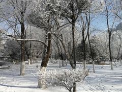 -长白岛森林公园