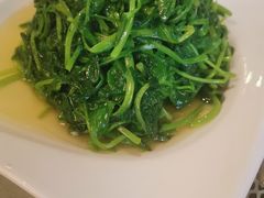 -新聚丰菜馆(太监弄店)