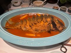 -阿五黄河大鲤鱼(纬三路店)