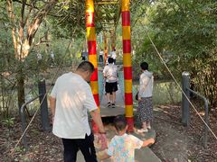 -溱湖国家湿地公园