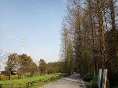 景点-同里国家湿地公园