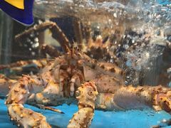 -海铺·渔家虾水饺(皇姑店)