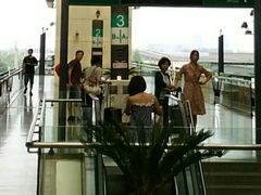 -龙阳路磁悬浮列车总站-停车场