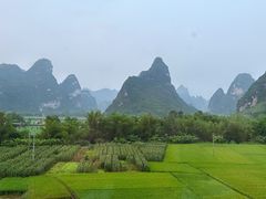 -明仕田园