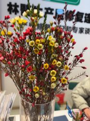 点击看大图 -Dr.林醫生产后修复·配方产康店(南京大厂店)