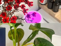 -美年大健康体检中心(牡丹园分院)