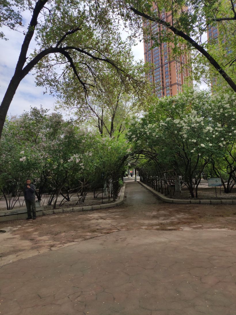 清滨公园-乐在哈尔滨-大众点评社区