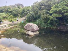 -梧桐山风景名胜区