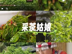 -圣莲山风景区