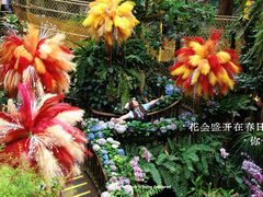 -正佳雨林生态植物园