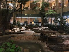 -麒麟中餐厅·经典粤菜·地道菜式老字号(广州长隆酒店)
