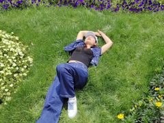 -春花秋色城市公园